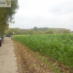 dsc 0502 - Sportraad Zaventem 